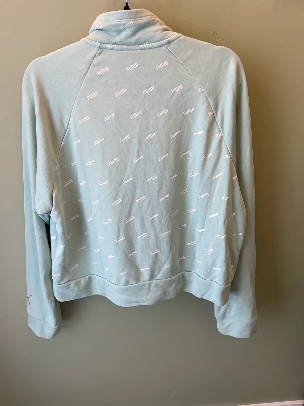 Puma Half-zip Logo Sweatshirt Light Green photo 3