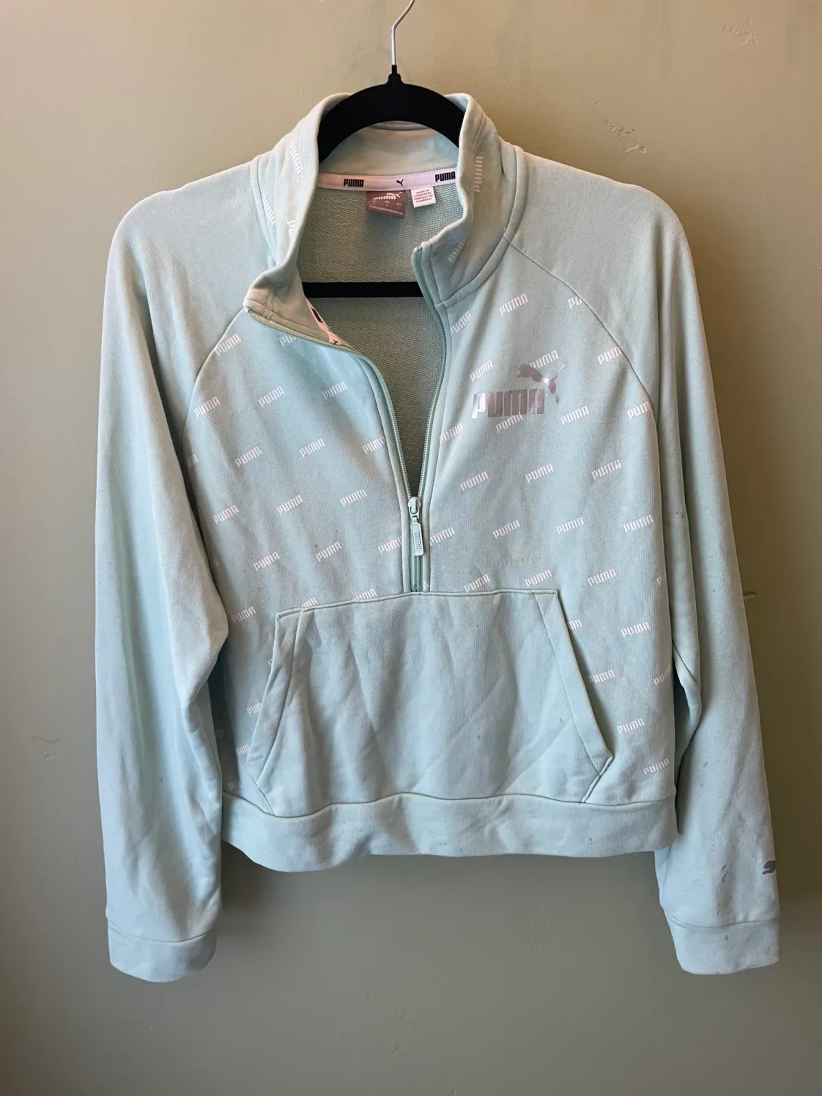 Puma Half-zip Logo Sweatshirt Light Green photo 2